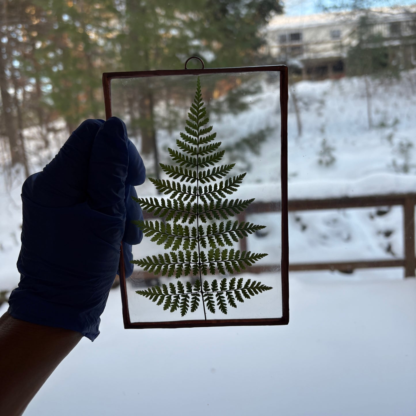 Pressed Flower Frame | Fern