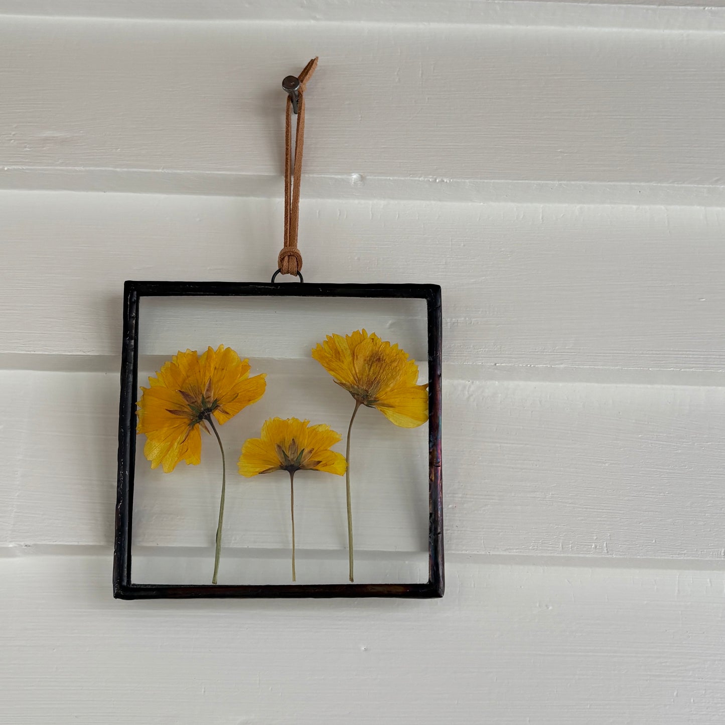 Pressed Flower Frame | Cosmos Trio