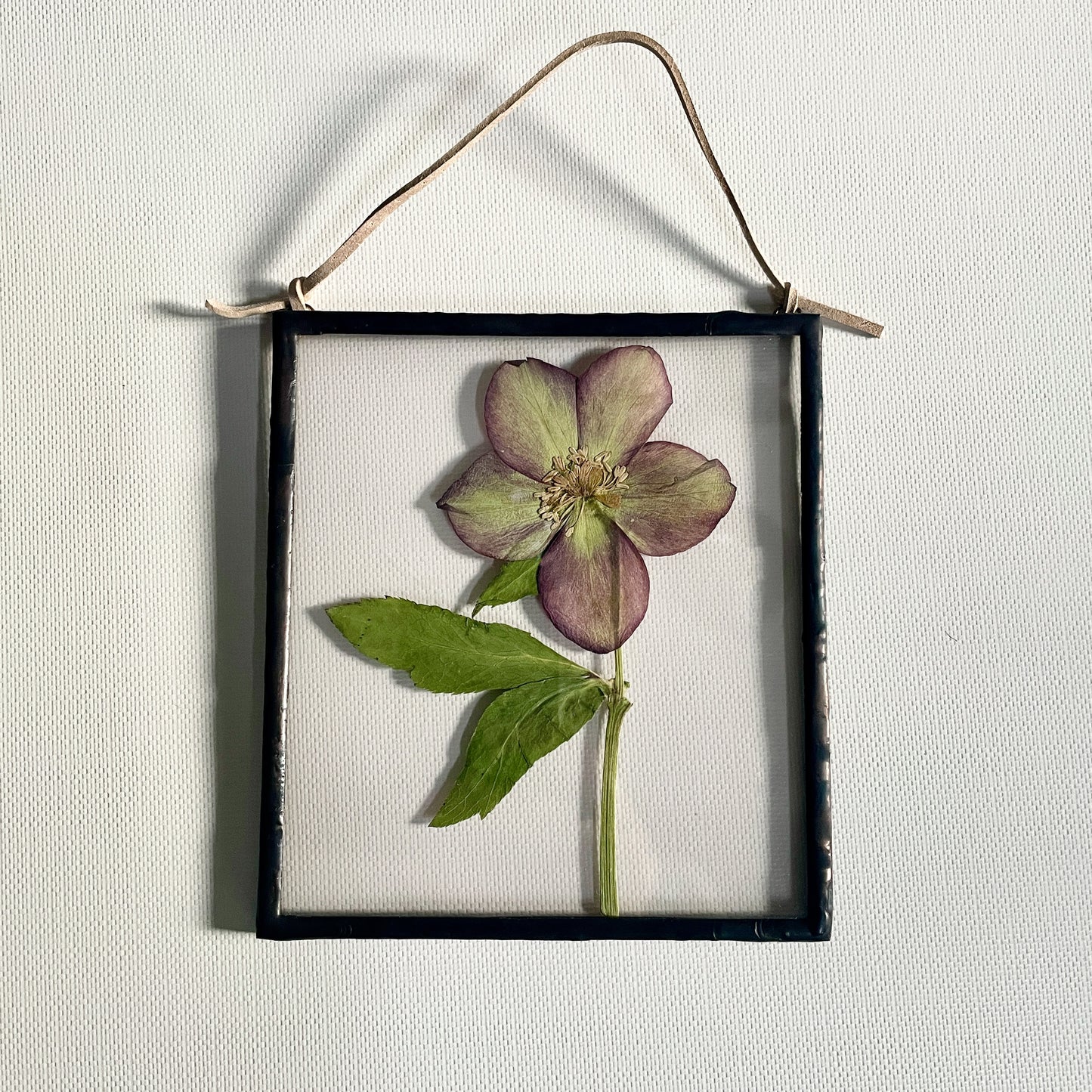 Pressed Flower Frame | Hellebore