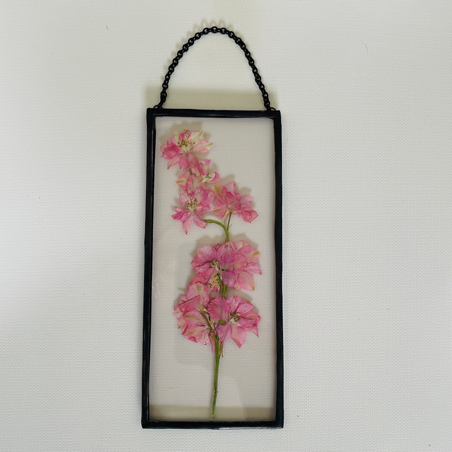Pressed Flower Frame | Larkspur