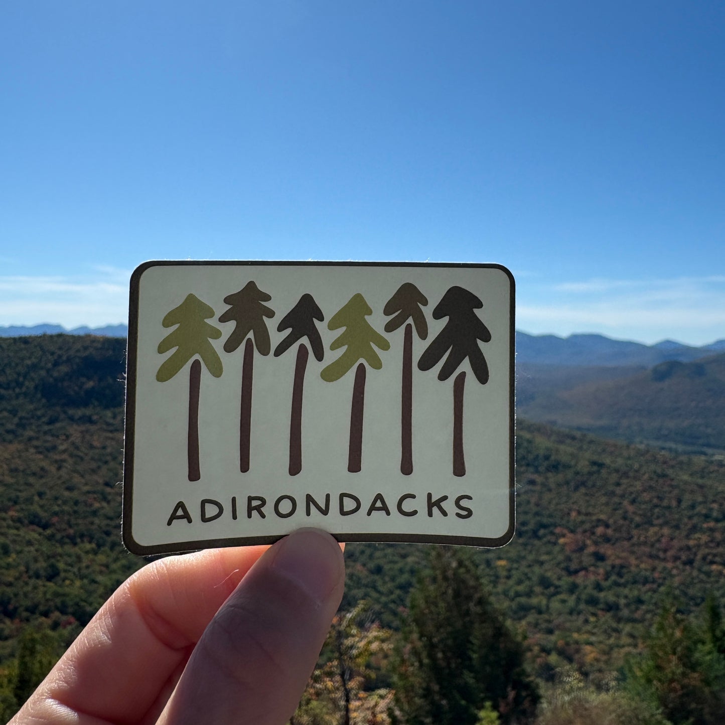 Sticker | Tall Trees