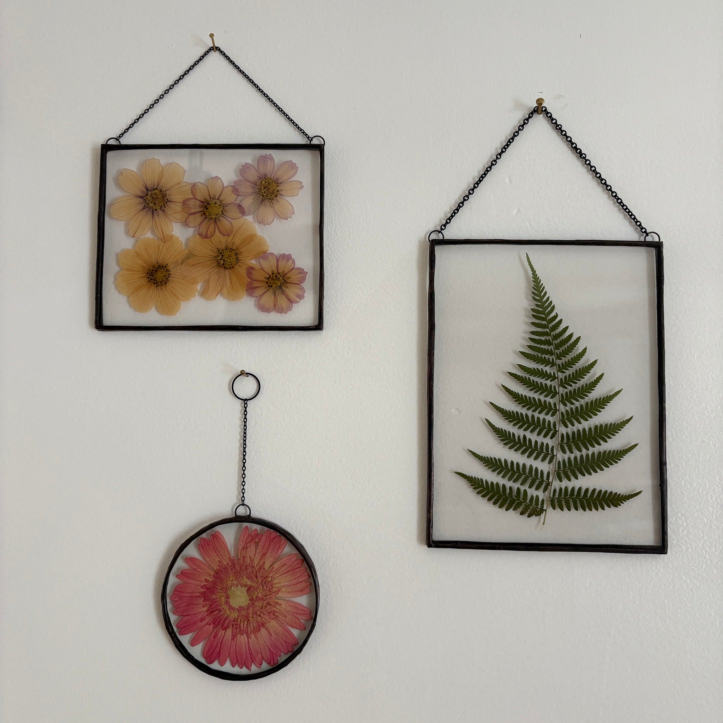 Pressed Flower Frame | Fern