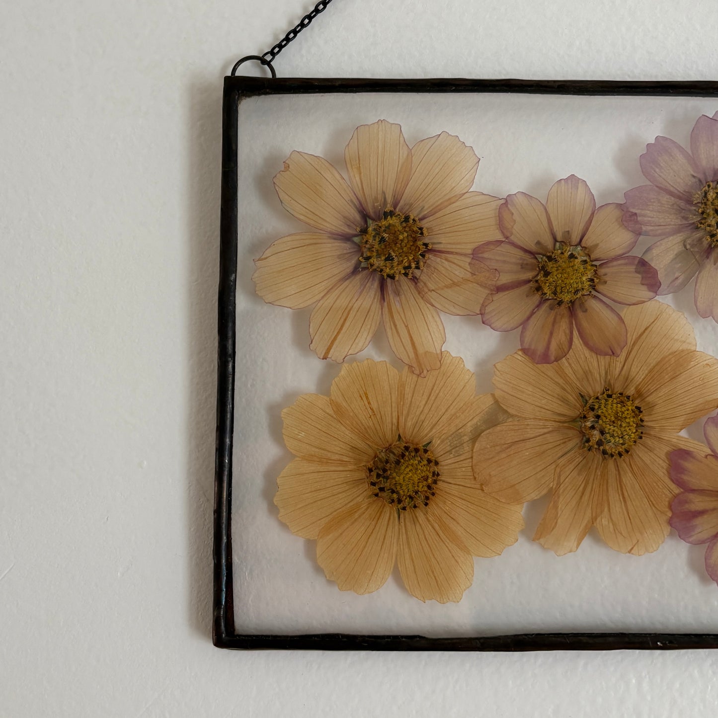 Pressed Flower Frame | Cosmic Bloom