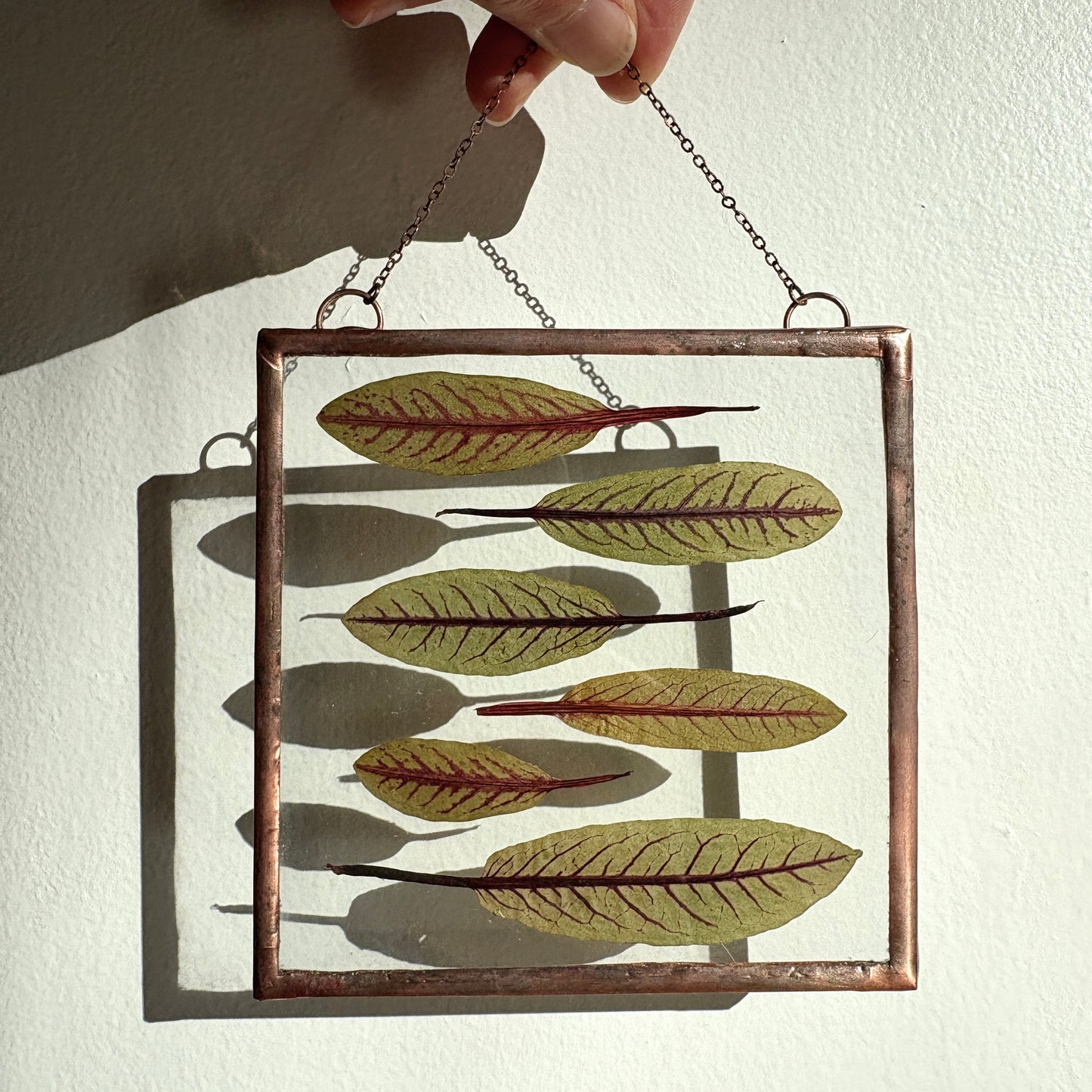Pressed Flower Frame | Sorrel Sardines