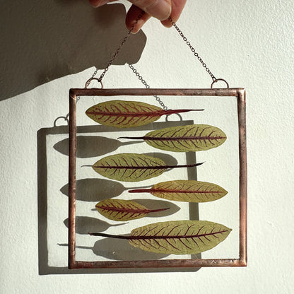 Pressed Flower Frame | Sorrel Sardines