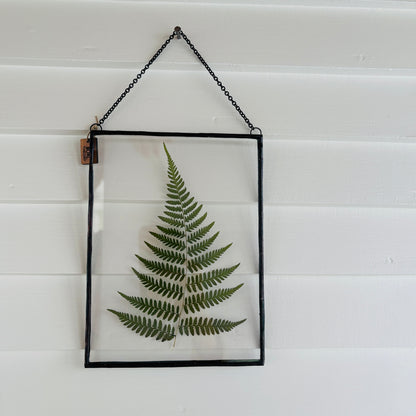 Pressed Flower Frame | Fern