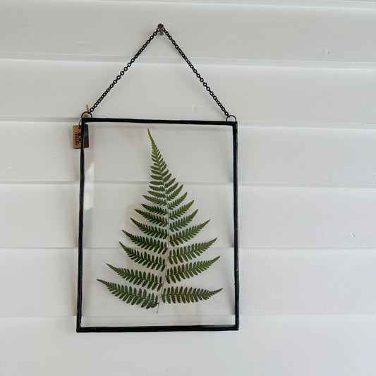 Pressed Flower Frame | Fern
