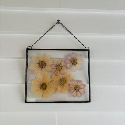 Pressed Flower Frame | Cosmic Bloom