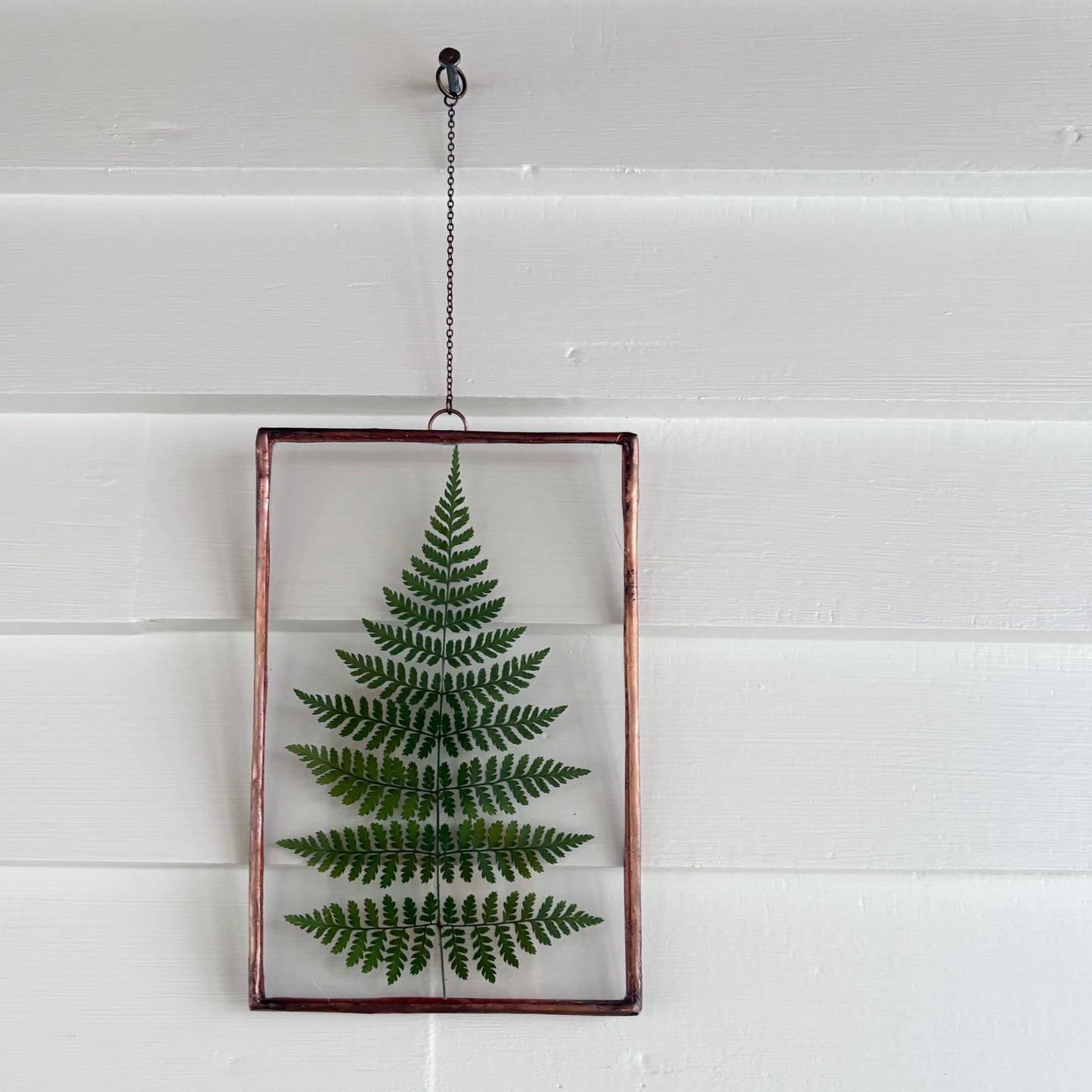 Pressed Flower Frame | Fern