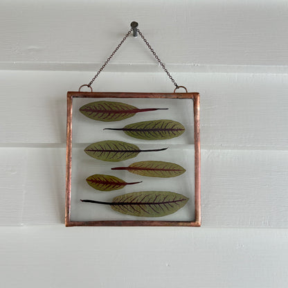 Pressed Flower Frame | Sorrel Sardines