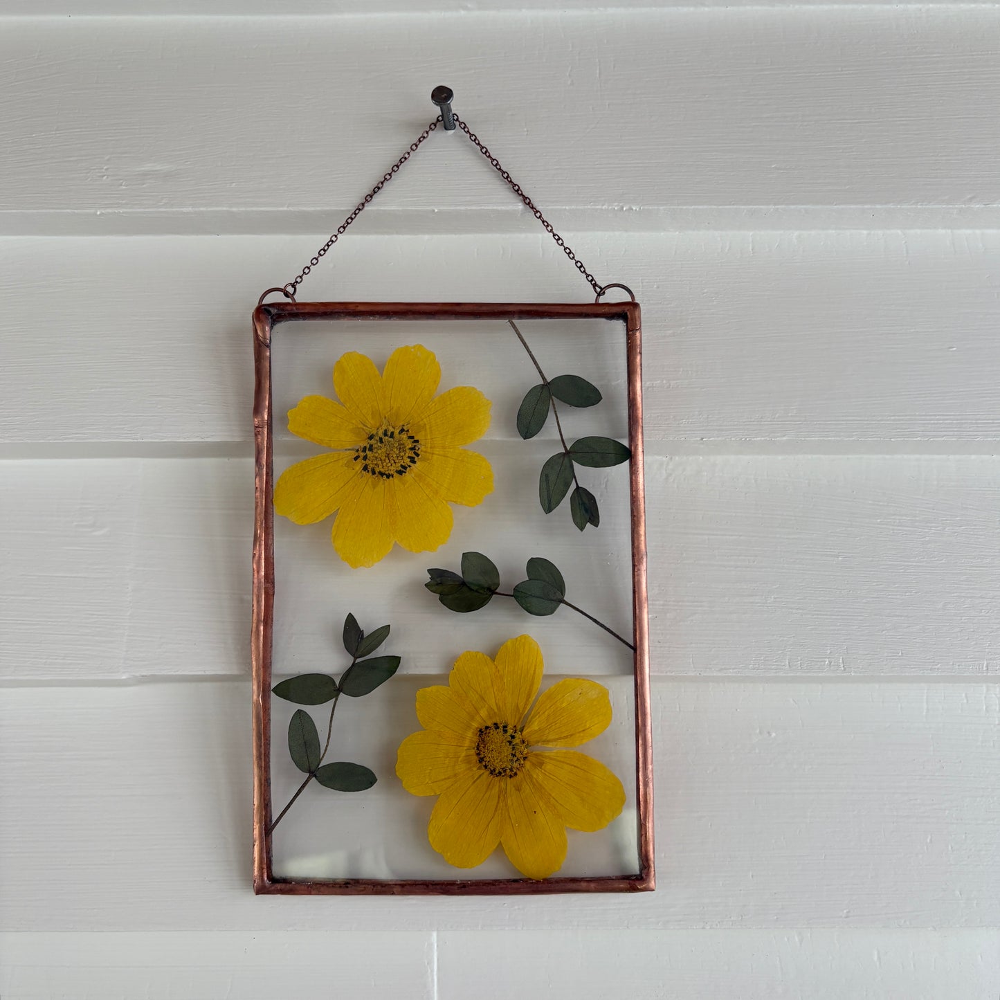 Pressed Flower Frame | Leafy Cosmos