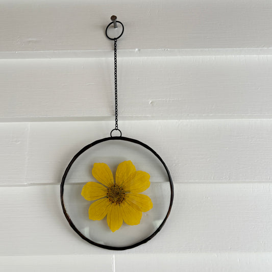 Pressed Flower Frame | Cosmos