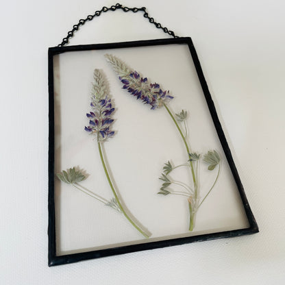 Pressed Flower Frame | Lupine
