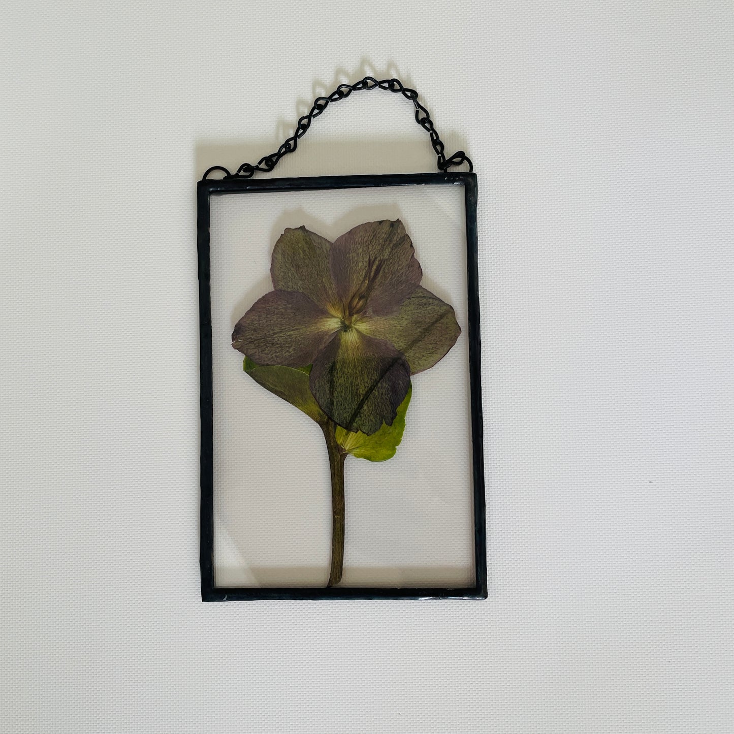 Pressed Flower Frame | Hellebore