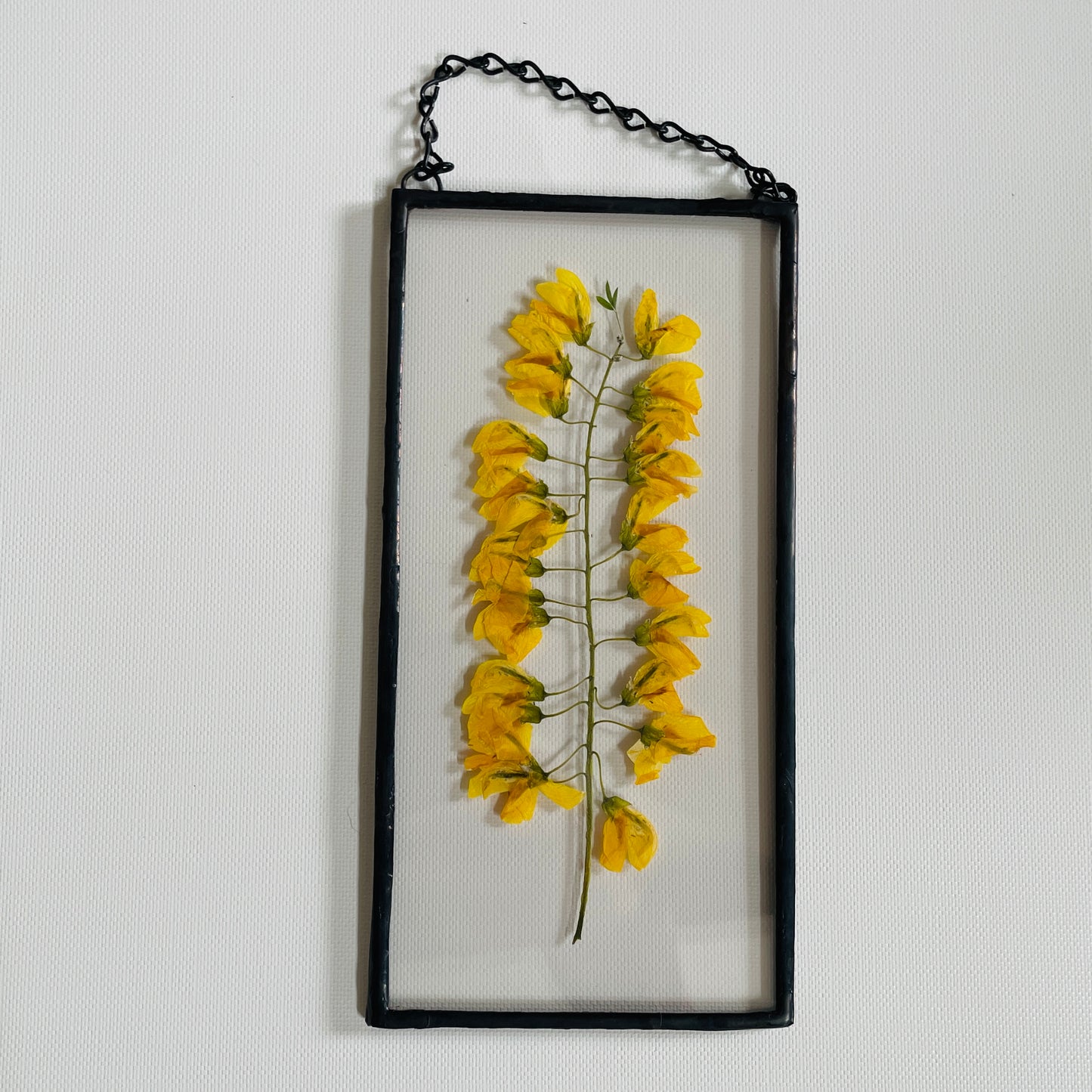 Pressed Flower Frame | Yellow Lupine