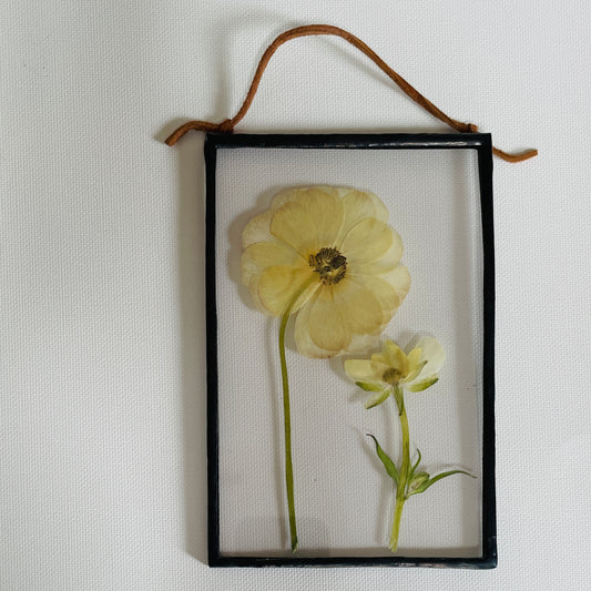 Pressed Flower Frame | Butterfly Ranunculus