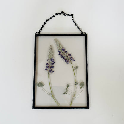 Pressed Flower Frame | Lupine