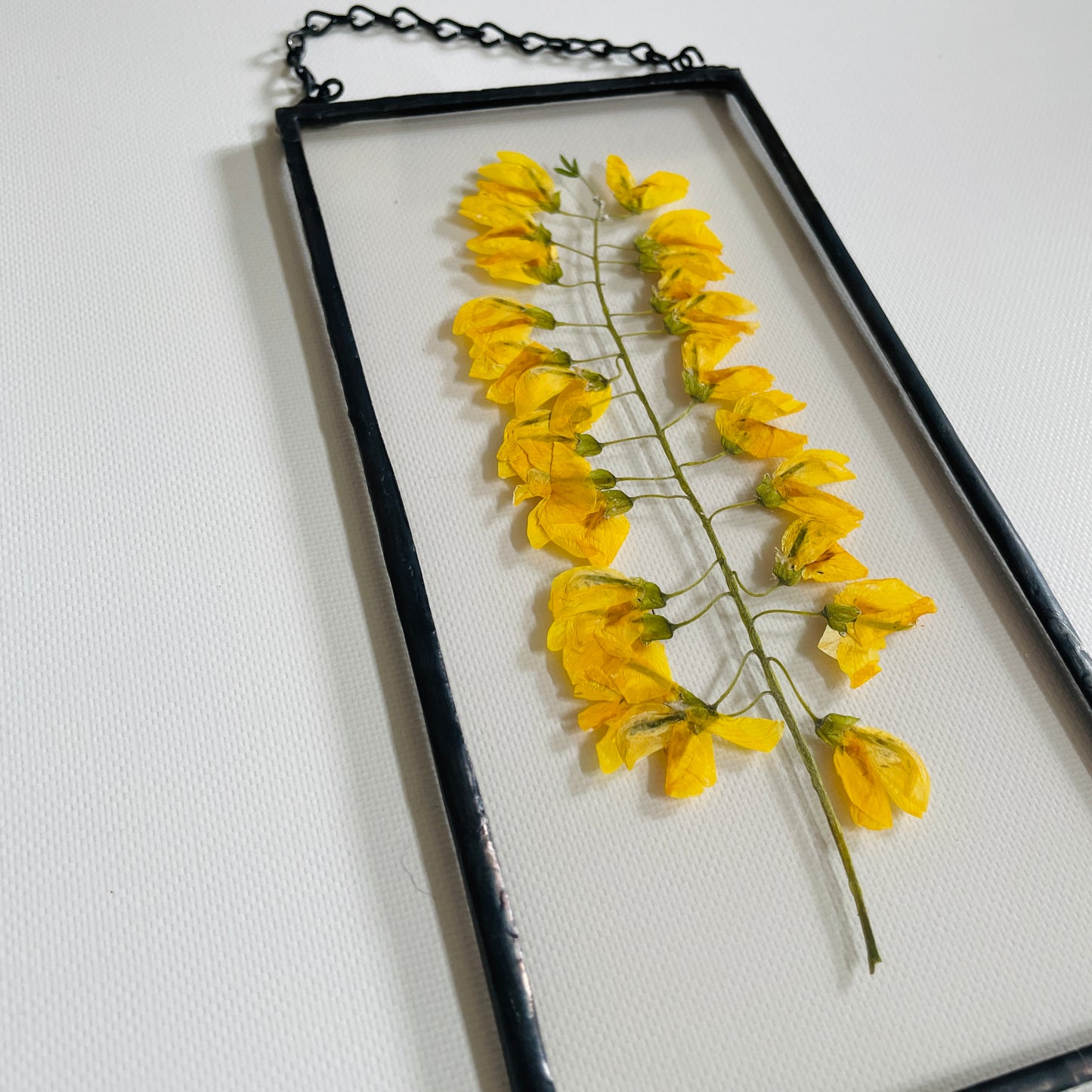 Pressed Flower Frame | Yellow Lupine